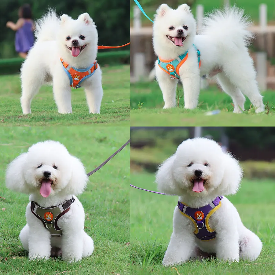 Pet Dog harness and leash set Reflect light Adjustable Puppy No Pull Outdoors Travel Cute Accessories |