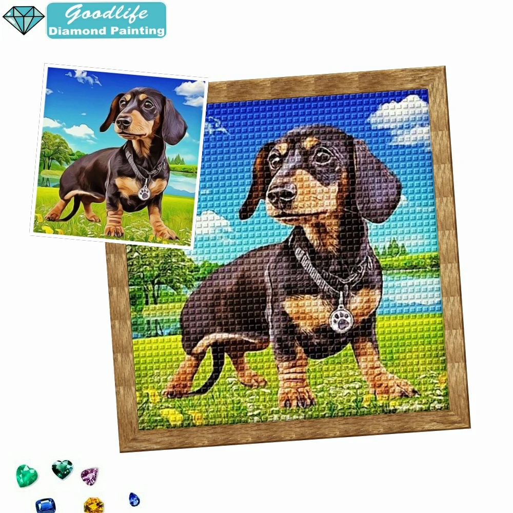 Wire Haired Dachshund Dog - Diamond Painting - Diamond Painting Kit USA