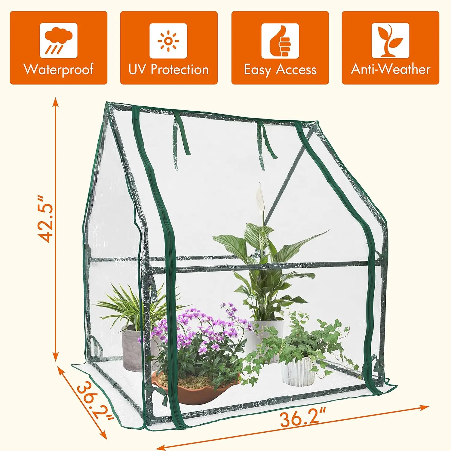 

Mini Greenhouse Heavy Duty Portable Green House Clear Tent Indoor or Outdoor for Plants 36.2”(L) x36.2”(W) x42.5”(H)