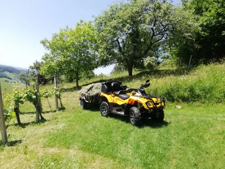 

Наборы наклеек для квадроциклов outlander 650 max xt 2007 Graphics