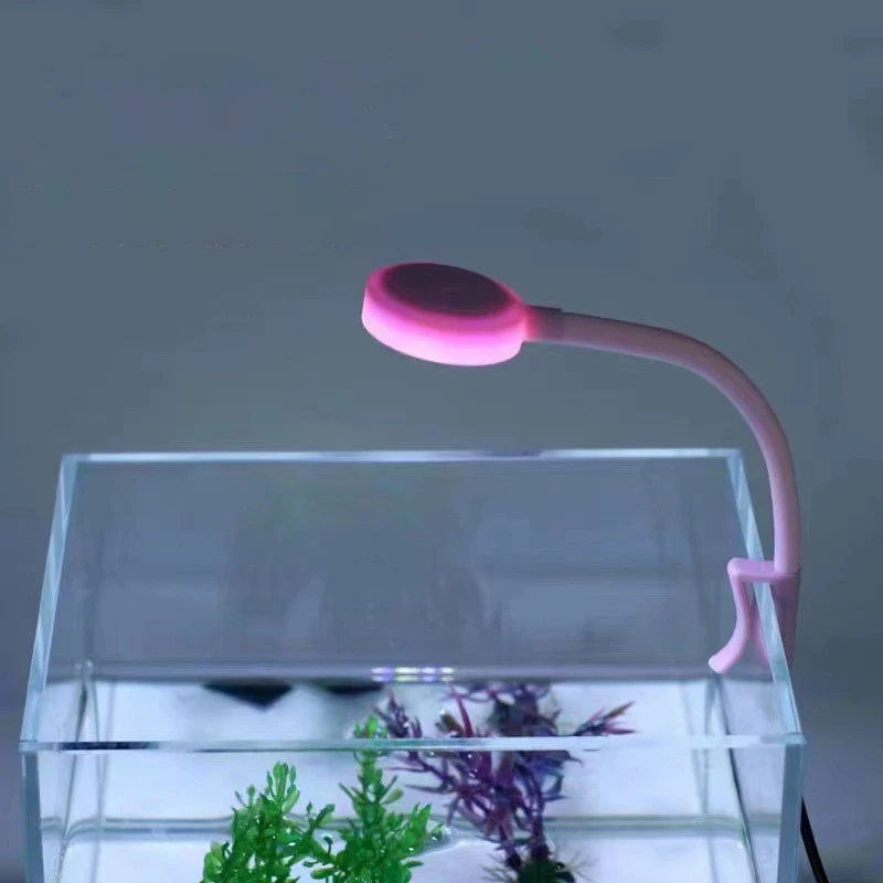 pink fill light