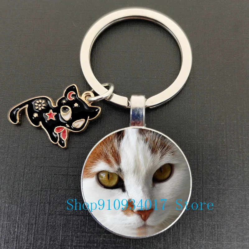 NISCAYA Portachiavi Gatto 3D Carino, Ciondolo Animale In Metallo Per Chiavi, Borsa O Zaino, Regalo Per Amici