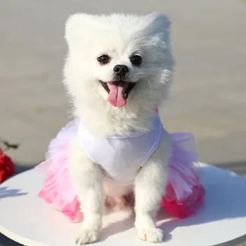 Sweet Dog Princess Dress for Small Dogs Spring Autumn Summer Puppy Dog Lace Tutu Dress Chihuahua Dog Skirt Pet Apparel Dog Dress 4