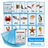 Kids Montessori Baby Learn English Word Card Flashcards Cognitive Educational Toys Picture Memorise Games Gifts for Children 5