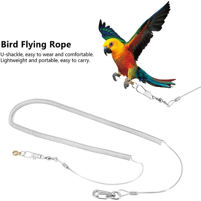 Pet Bird Parrot Flying Rope Cockatiels Pet Bird Leash Kit