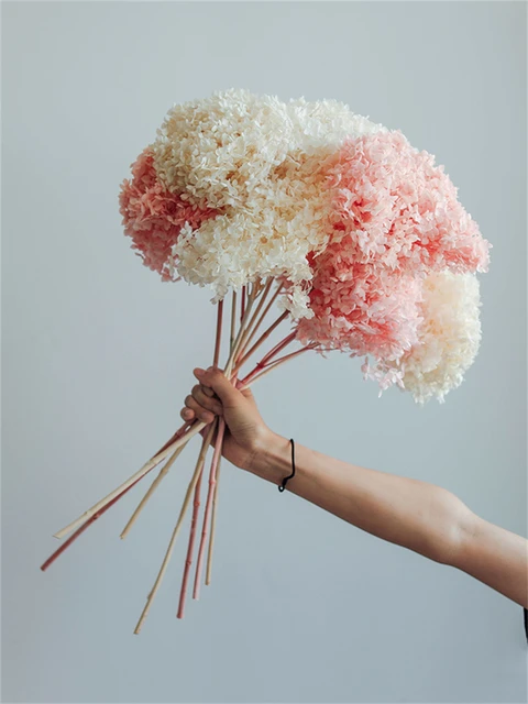 Dried Hydrangeas, Preserved Hydrangea