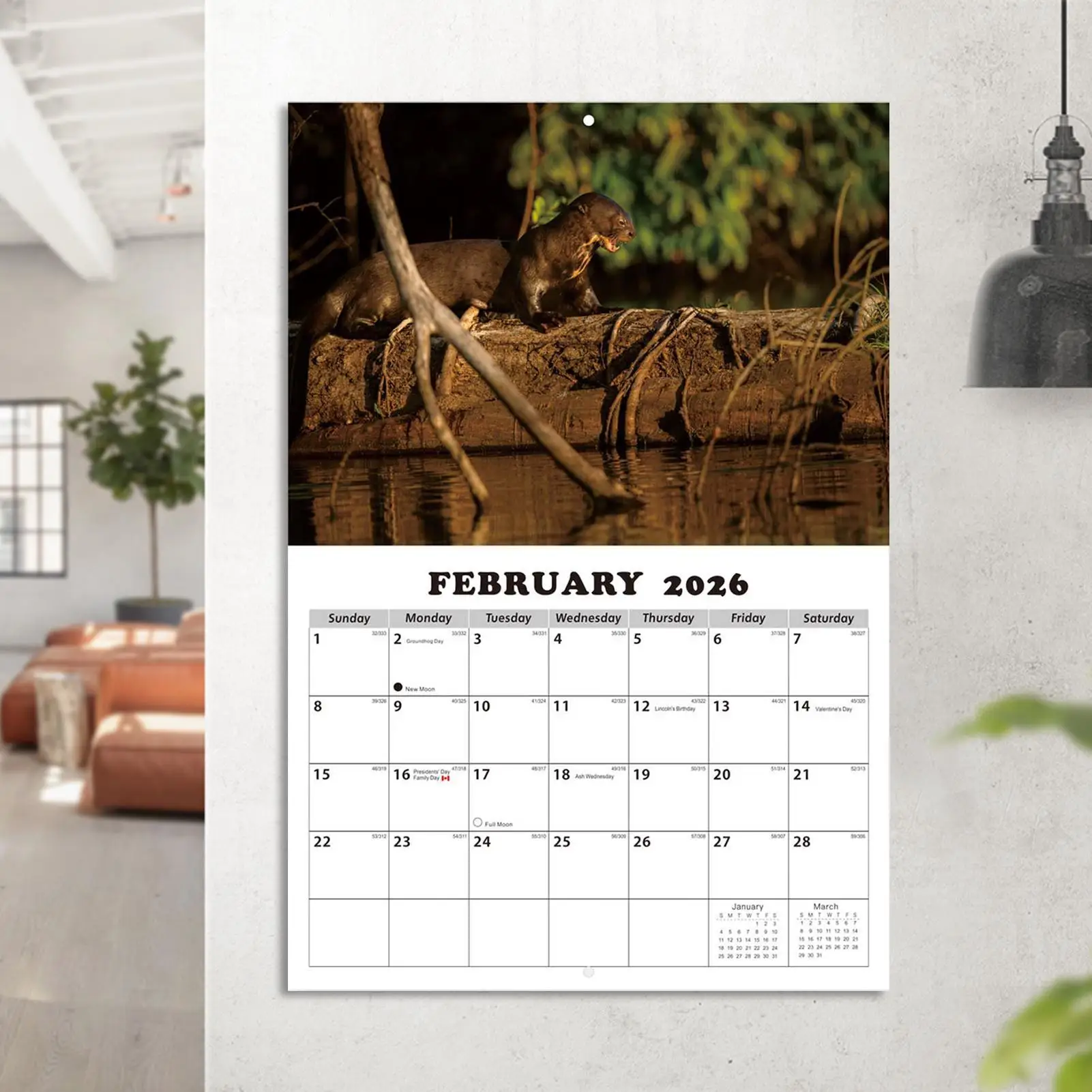 Calendar For Wall English Schedule Planner Wall Mount Month Calendar For Students Kids Teens Adults Teachers Dining Room