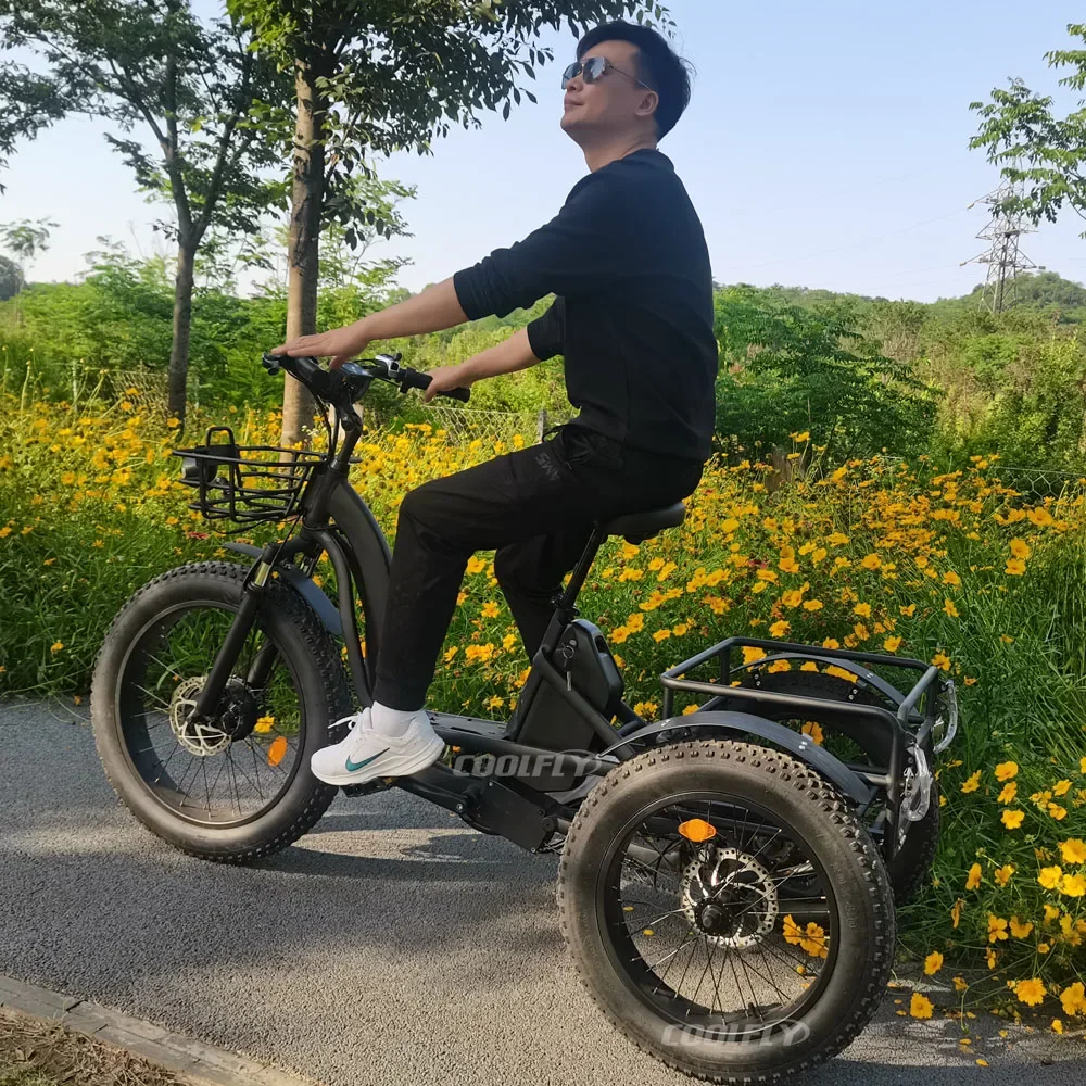 High Power Tricycles Family Cargo Lithium Battery Three Wheel Electric Bicycle 48v 750w 1000w e Bike for Sale