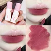 Velvet Matte Lip Gloss - Long-lasting, highly pigmented liquid lipstick in brown, pink, purple, red shades - for a portable dail 2