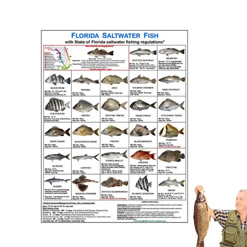 

Magnetic Fishing Identification Card Fish Species Guide With Magnets Fishermen Identification Card