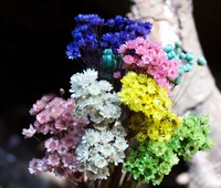 30pcs Mini Daisy Dried Flowers Bouquet Vase For Wedding Party Home Decor Outdoor Garden Eucalyptus Leaves Fake Plants 45cm 4