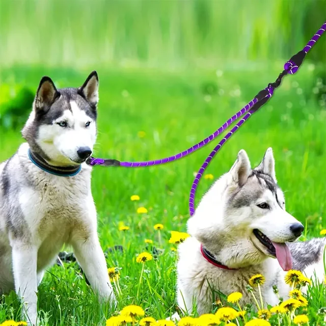 Dual Dog Leash - 360 Swivel No Tangle 5