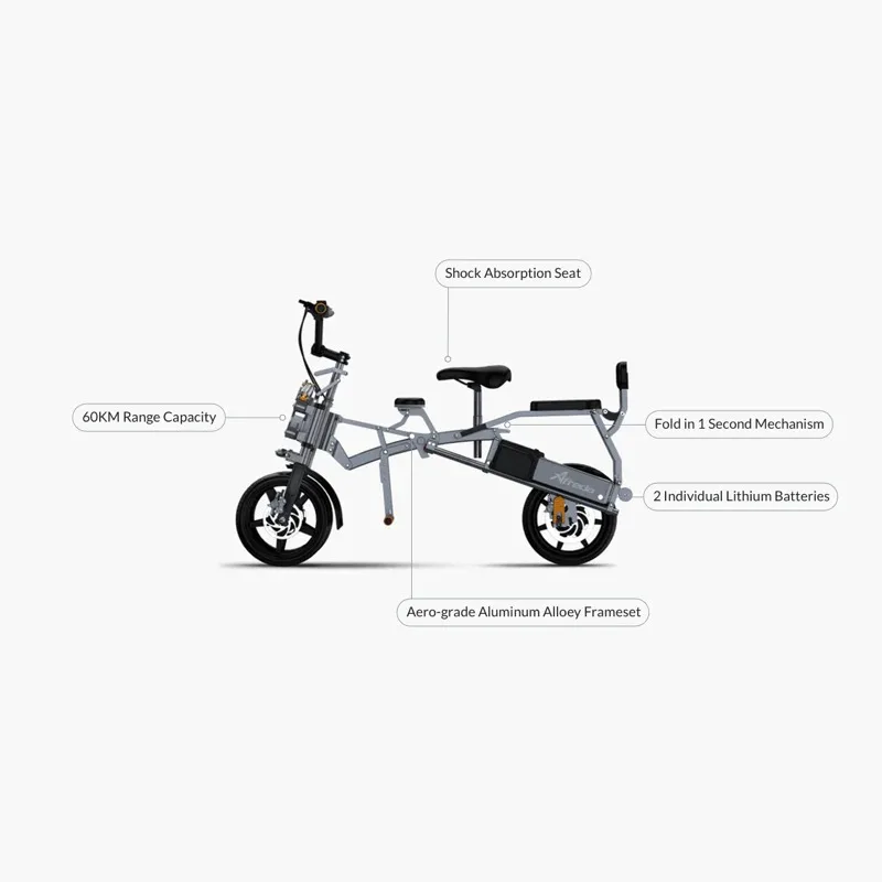 Electric Folding Scooter with Dual Battery, Multi Functional