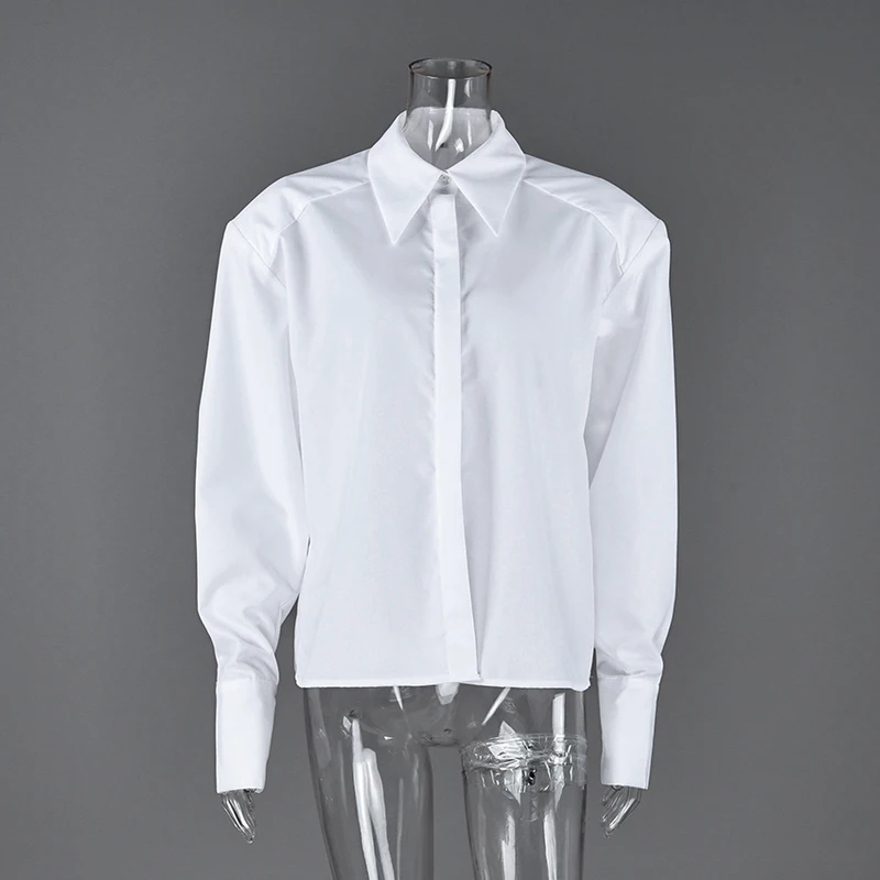 Linad Autumn Elegant White Puff Sleeve Shirt Office Lady