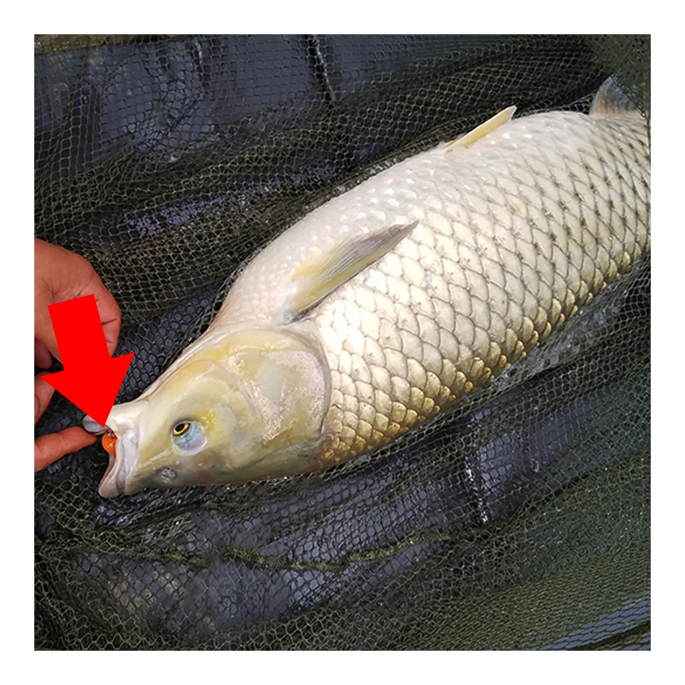 Carp Fishing Bait 30 Stück - 10/12mm Pop-Up Pellets Mit Erdbeer- Oder Süßkartoffel-Geschmack