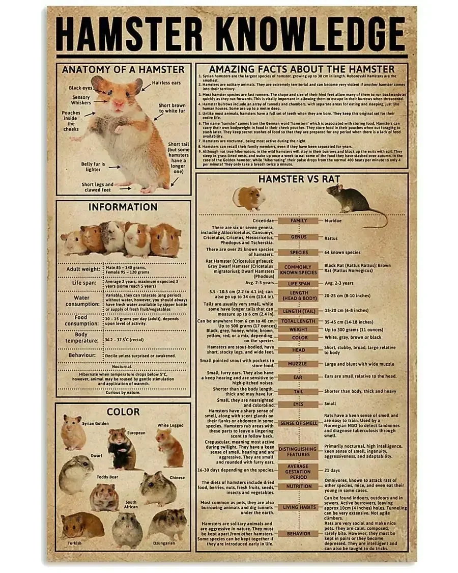 

Hamster Knowledge Posters Metal Signs Popular Science Infographic Wall Decor Home Decor Farm Retro Decor Printing Plaque