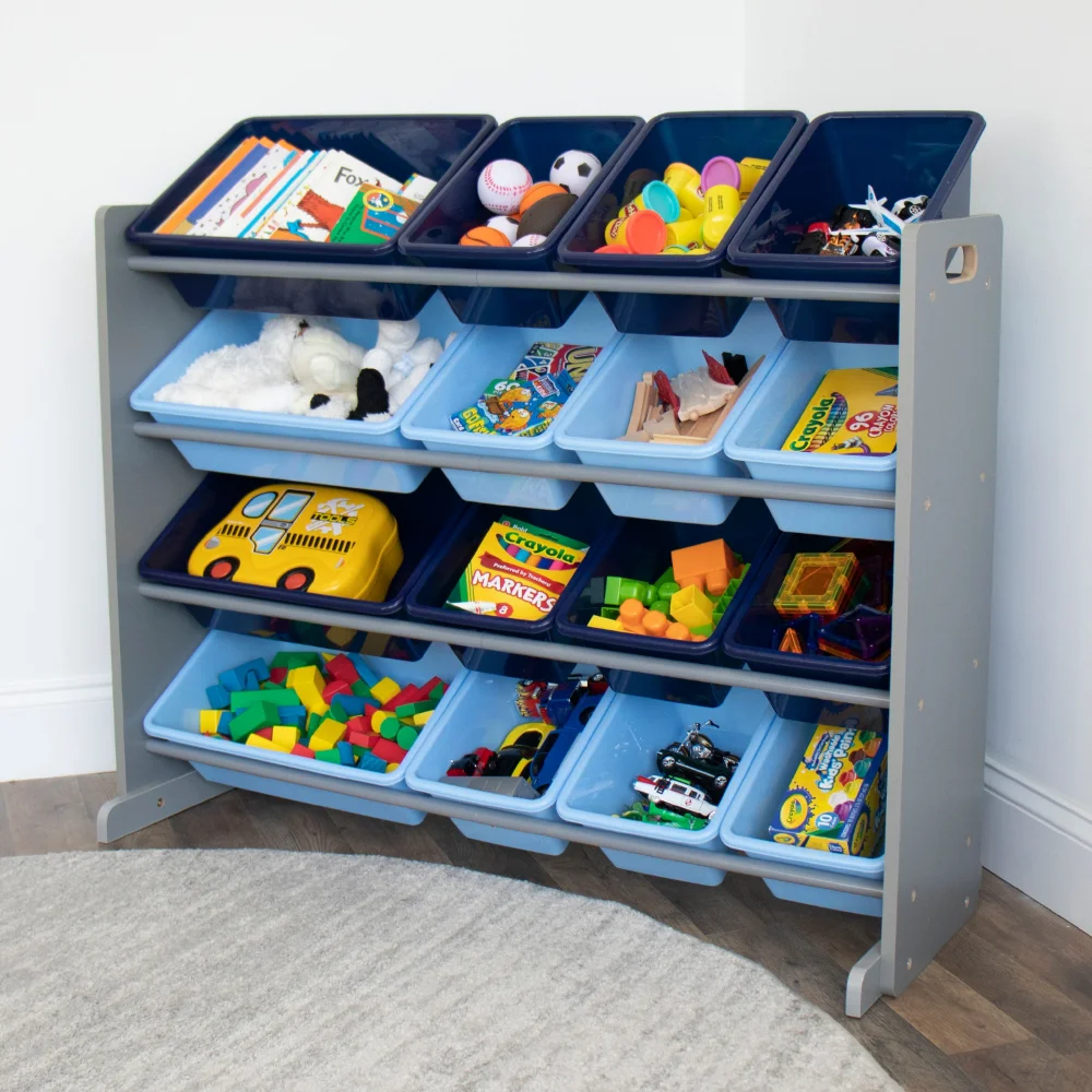 https://ae01.alicdn.com/kf/Sb3de2cd600734b35a8f92dc1719657d2n/Kids-Grey-Toy-Storage-Organizer-with-16-Blue-Plastic-Storage-Bins.jpg