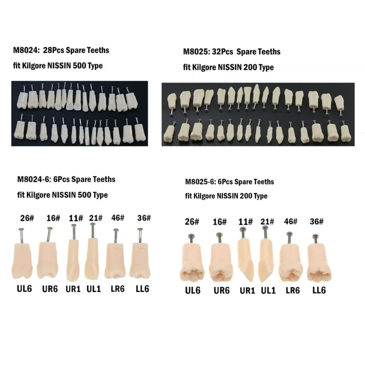 

Dental Typodont Replace Screw-in Practice Teeth Fit Kilgore NISSIN 200/500 Type Removable Teeth