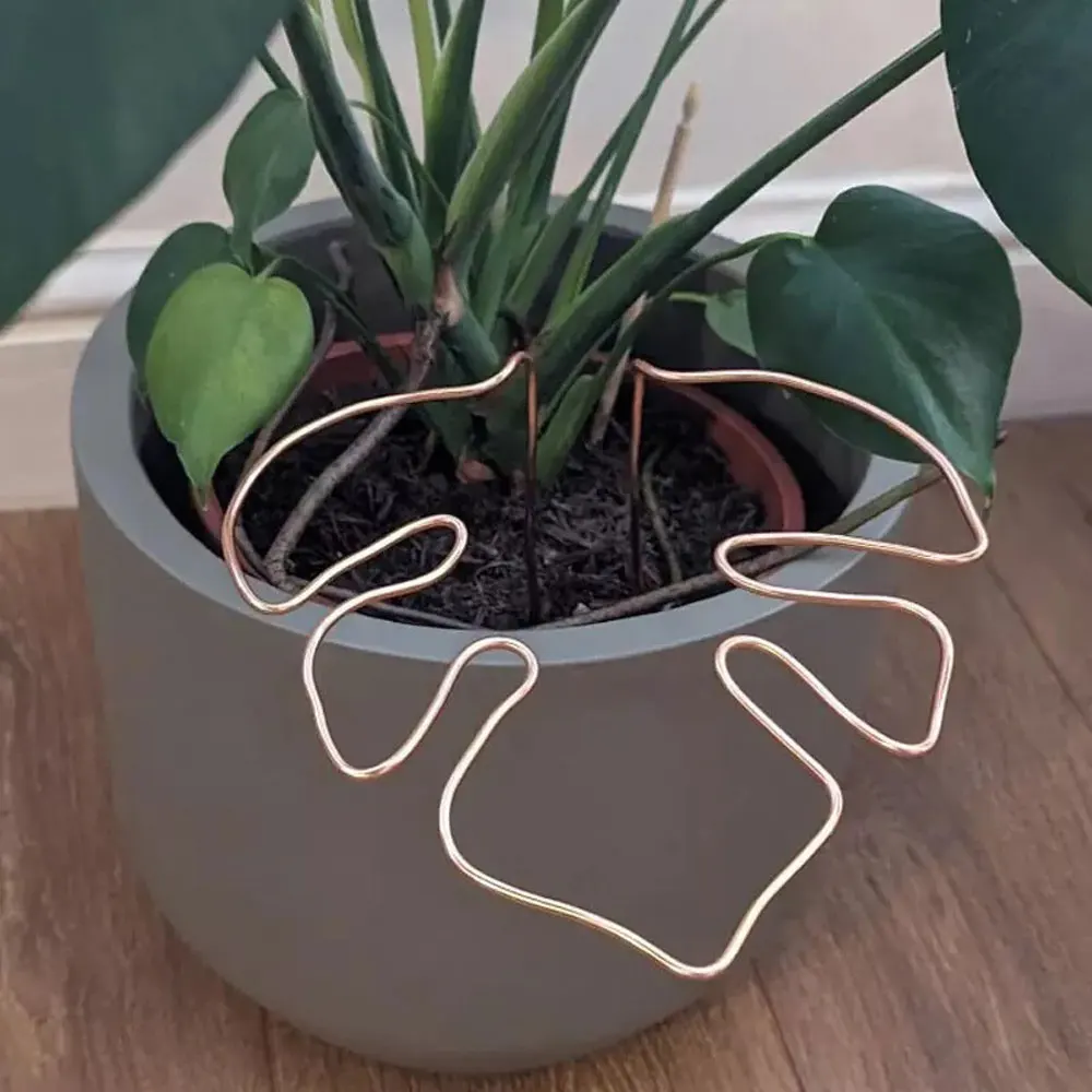 Plant stakes monstera shaped plant support plant stake for small to medium houseplant