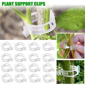 Reusable Plant Support Clips – Stem & Vine Fixing Tool for Garden 1