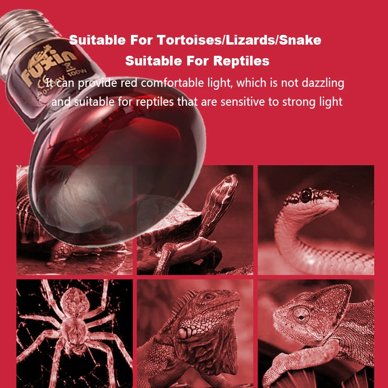 220V Heating Bulb Poultry & Reptile 4