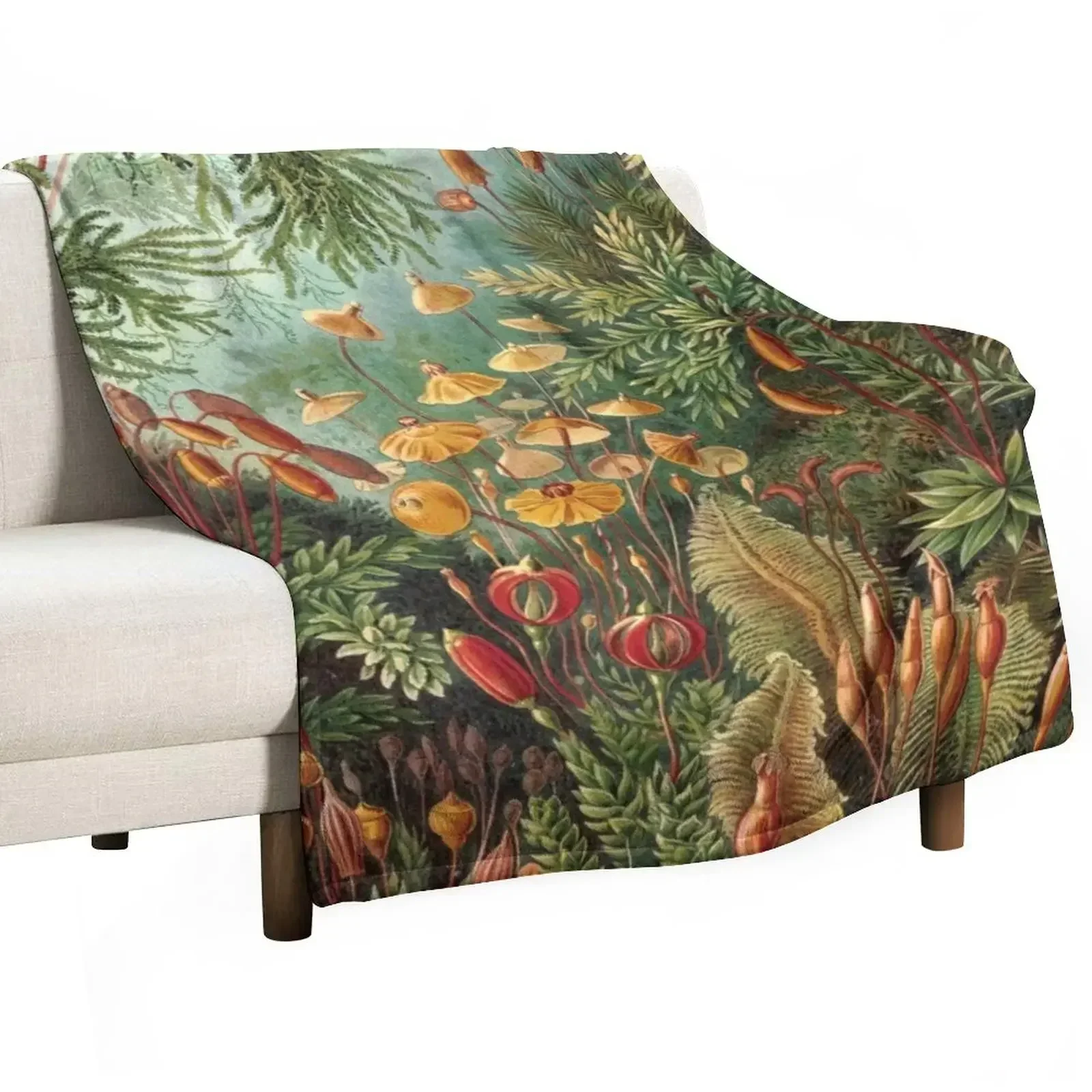 

Haeckel Muscinae Drawing Throw Blanket Decorative Sofa Cute sofa bed Blankets