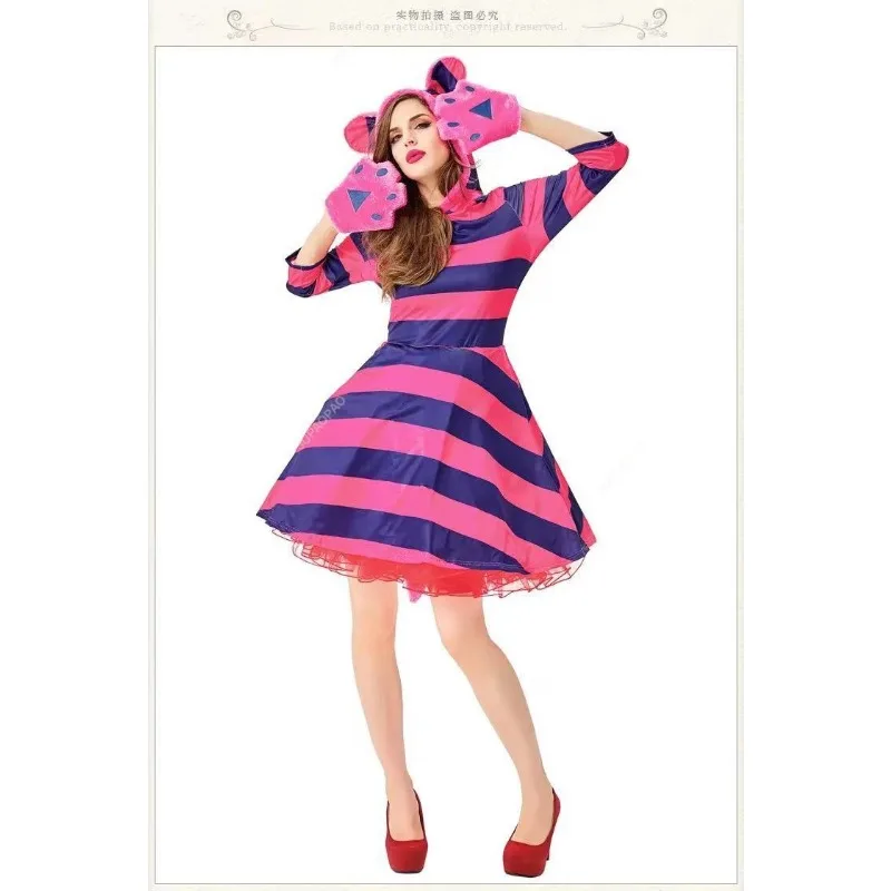 ̻  B-Alice ڽƬ ü  ڽ ǽ,  ̿ ҷ ڽƬ,  Ƽ Ʈ, θ-ڳ 