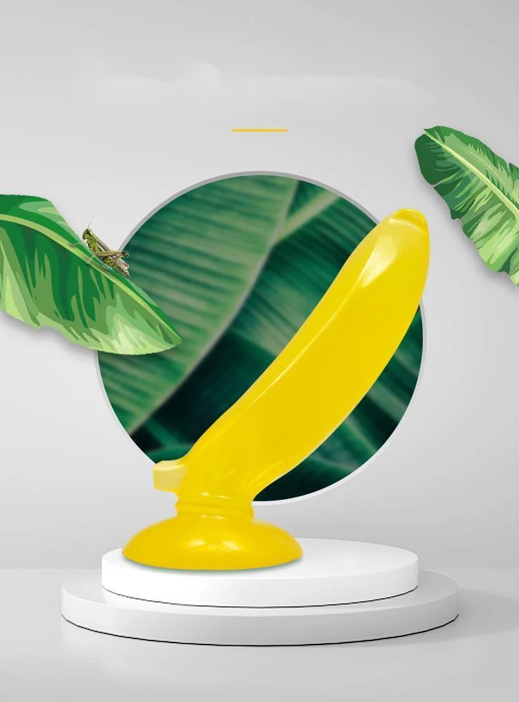 Suckers Banana Fallo Cetriolo Fallo Mais Fallo Verdura Tappo Anale_voghion.com