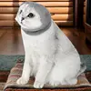 Cat Anti Bite Muzzles Breathable Cat Travel Tools Bath Grooming Supplies Adjustable Kitten Muzzles Anti Scratch Pet Supplies 5