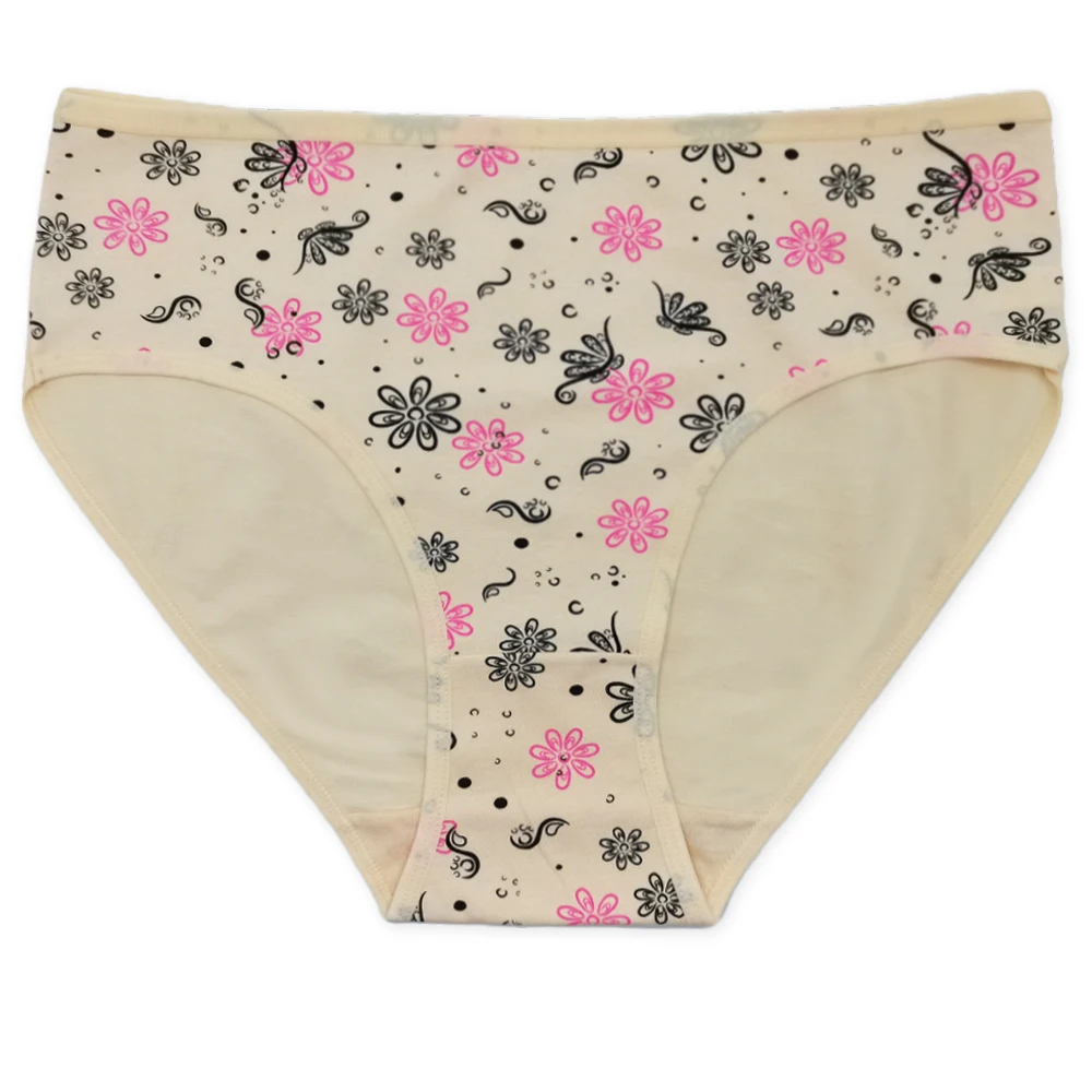 Women's Cotton Briefs 6 Pack Mid Rise Panties Image 5