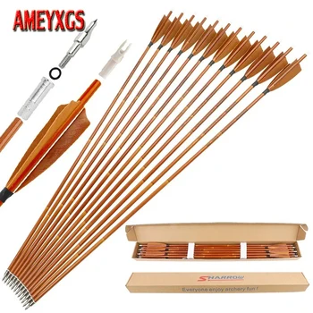 Carbon Arrows Set 1
