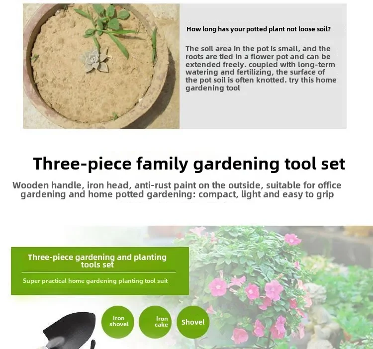 Description Picture 3 of item3pcs Mini Horticultural Tools for Gardening Potted Plants Wooden Handle Agricultural Tools Shovel Rake Flower Planting Tools