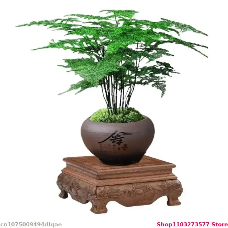 Vintage Solid Wood Display Base Home Model Flower Pot Bonsai Display Pedestal Mini Sculpture Ornament Stand