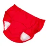 Panties Elderly Incontinence Daily Use Adult Comfortable Diapers Portable Travel Red 1