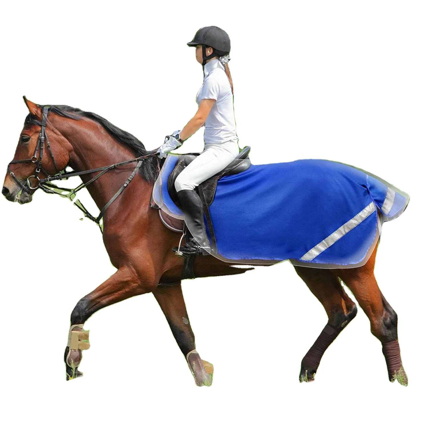 Hot Selling Horse Stable Equipment Horse Rugs For
