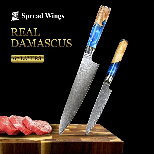 SW-cuchillo de corte de acero damasco de 67 capas, herramientas de cocina  profesionales, mango de madera de resina, cuchillo práctico para Chef