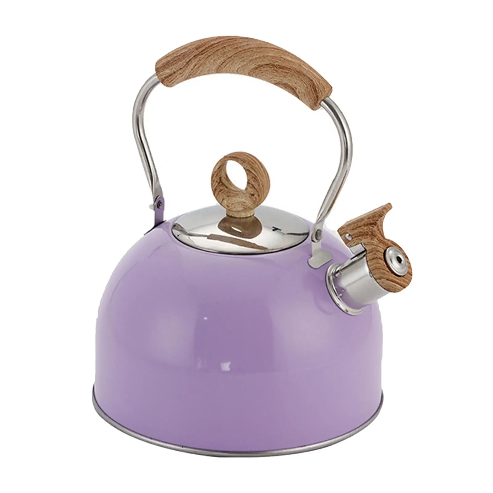 Whistling Tea Kettle for Stove Top 2.5L Stainless Steel Kettle with Heat Resistant Handle for Fast Boiling Coffee Milk and Tea