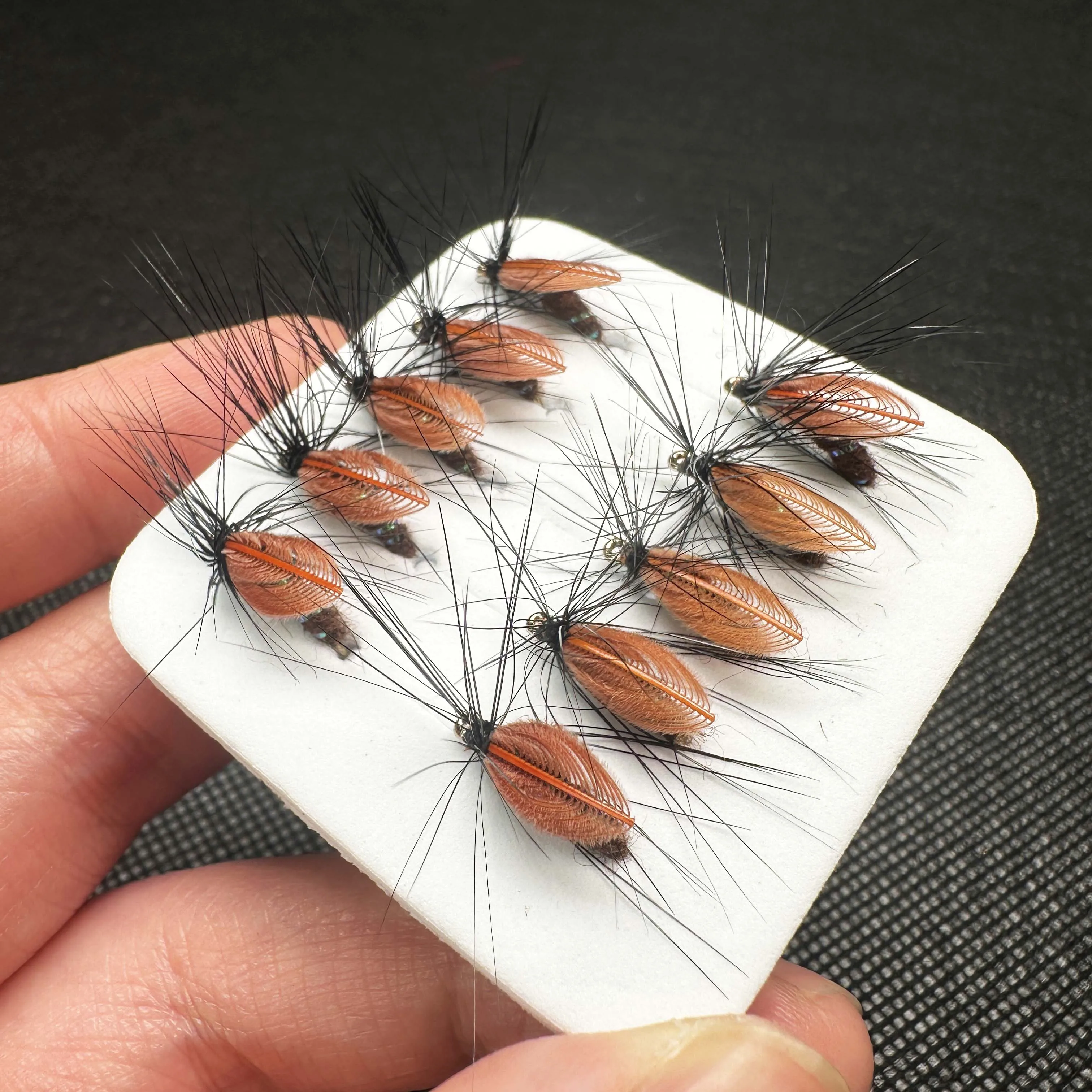 Description Picture 2 of item5/10Pcs Fly Fishing Lure Bait Trout Bionics Beetle Body Fly Fishing Flies Nymph Fishing For Bass Trout Salmon Insect Lure