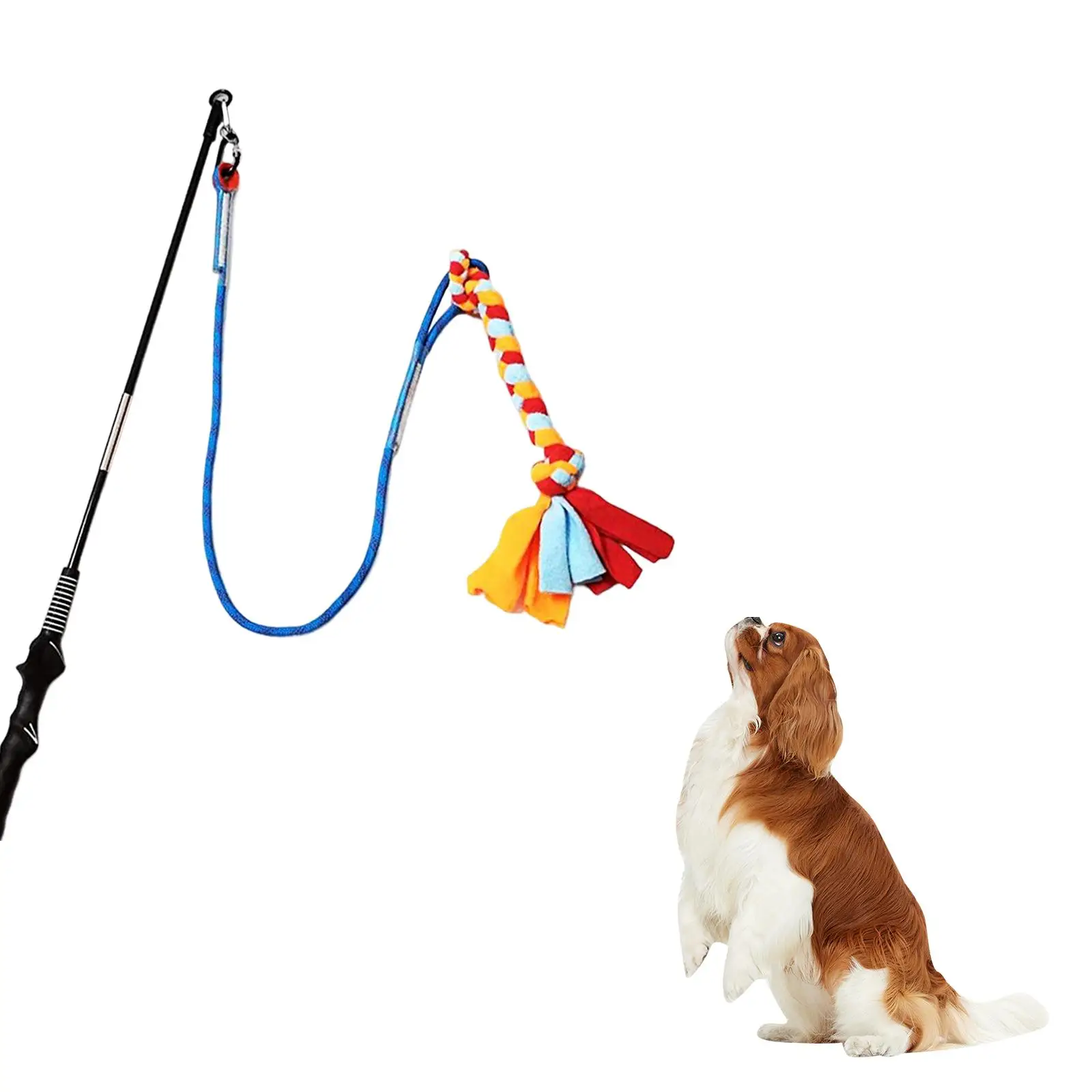 Indoor top flirt pole