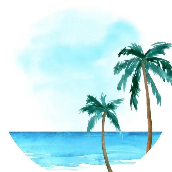 Beachbaby Store