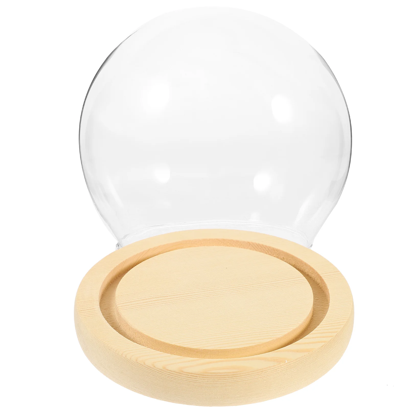 

Clear Glass Display Case with Wooden Base Clear Glass Dome Display Covering