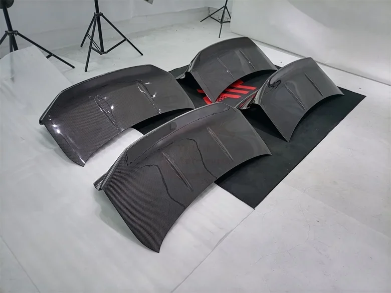 Рисунок 3 - Стильная сухая крышка багажника