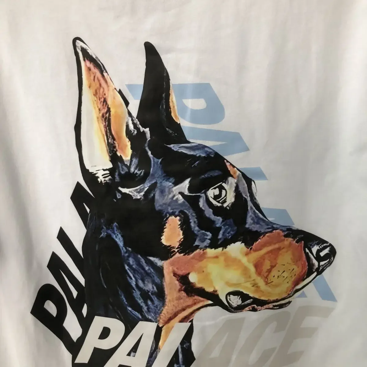 Рисунок 5 - Футболка Мужская/женская с коротким