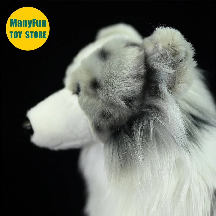 Sb4059ac42c1d43868bdf3d2aaa46c7d1V - Border Collie Gifts