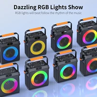 FanFun Bluetooth Karaoke Speaker, Wireless Portable Speaker with 2 Microphone, Karaoke Machine for Adult, Home Karaoke System - Image 3