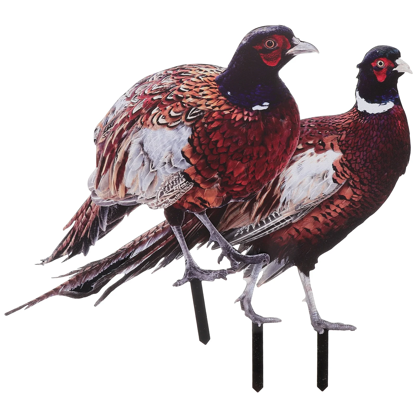 

2 Pcs Outdoor Statue Pheasant Garden Decoration Shape Stake Yards Acrylic Ground Plug Adornment Ornament Art Decorative Lawn