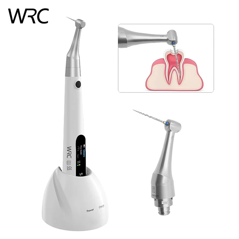 Endo motor with Apex Locator Dental Equipments High Accuracy apex