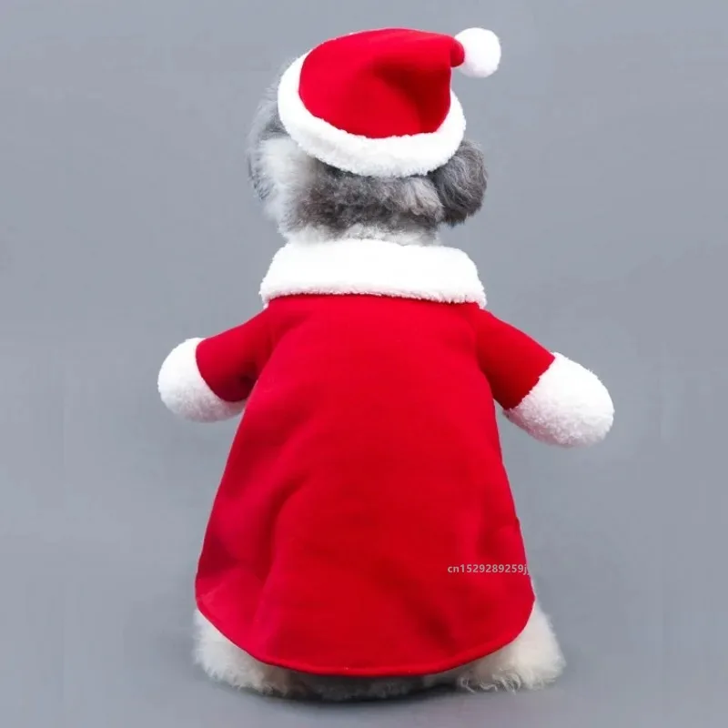 Santa Claus Pet Christmas Costume 4