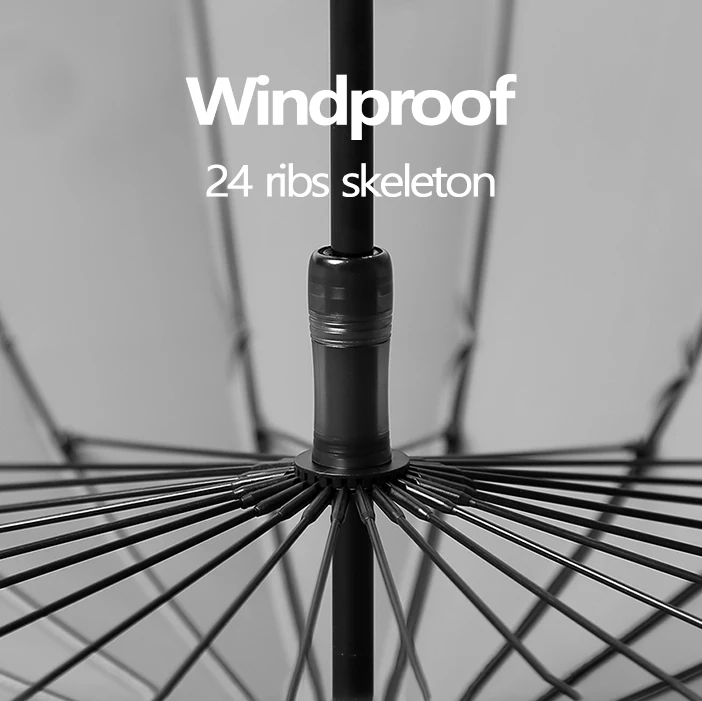 ǳ  24    ū ,   ߿   Ϻ   