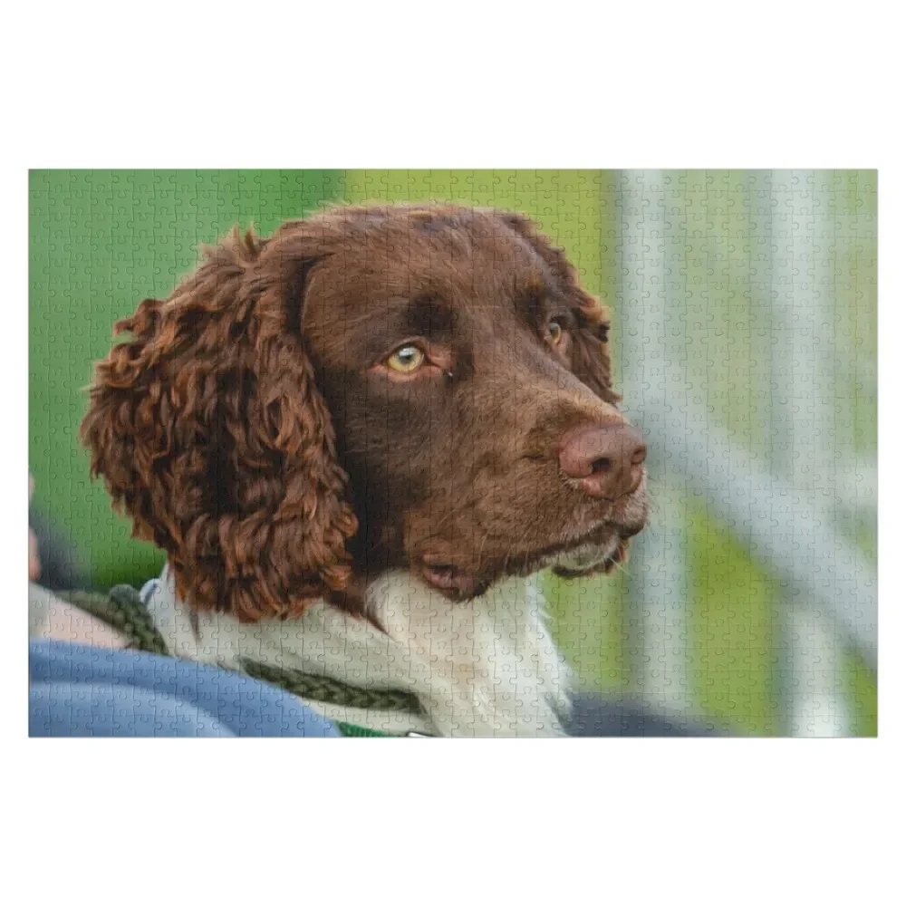

Деревянный подарок-пазл Springer Spaniel на часах, фото на заказ